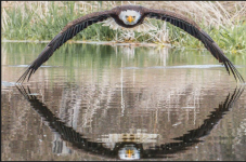 1750801760791.png