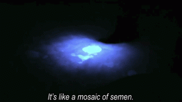 4qOU.gif