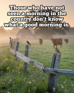 1750949441482.png