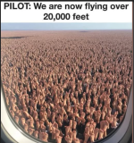 1751057023711.png
