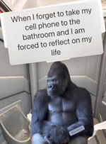 1751201901885.png