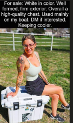 1751223483472.png