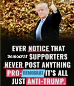 1751310761551.png