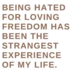 1751310866564.png