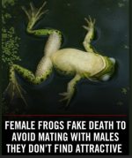 1751635213492.png