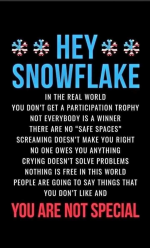 1752067502031.png