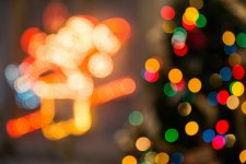 pexels-ifreestock-688574.jpg
