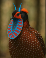 1752272818348.png