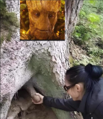 1752437819247.png