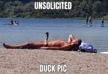 1752448970125.jpeg