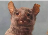 1752531497184.png