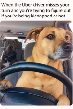 1752675156923.png
