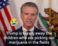 1752677156618.png