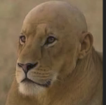 1752682329191.png