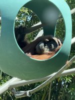 IMG_1228.jpeg