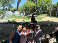 IMG_1230.jpeg