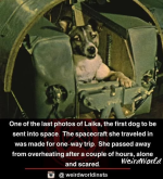 1752757034765.png
