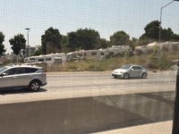 IMG_1298.jpeg