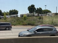 IMG_1299.jpeg