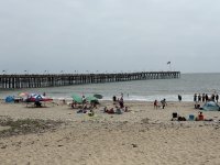 IMG_1390.jpeg