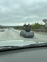 IMG_9504.jpeg