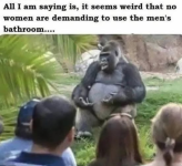 1753119909790.png