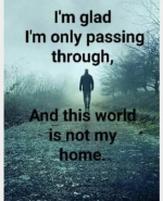 1753120202159.png