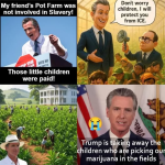 1753129242338.png