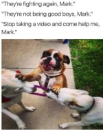 1753184206925.png