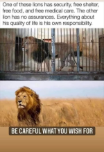 1753184439828.png