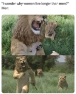 1753187598366.png