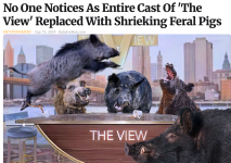 Screenshot 2025-07-24 at 11-39-54 No One Notices As Entire Cast Of 'The View' Replaced With Sh...png