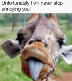 1753390835727.png
