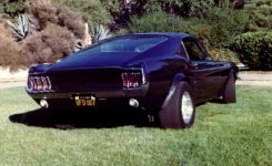 Mustang.jpg