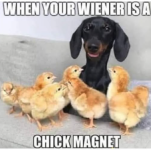 1753476976734.png