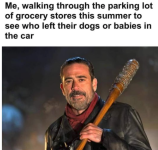 1753477263848.png