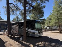 IMG_1463.jpeg