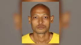 Copy-of-mugshot-background-3-1.webp