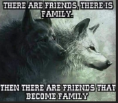 1753650655681.png