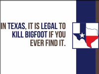 1753716349004.png