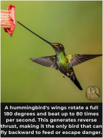 1753965251946.png