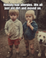 1753992572389.png