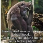 1754004010850.png