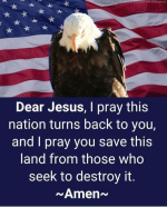 1754050598079.png