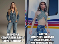 1754056315315.png