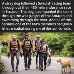 1754056353936.png