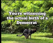 Screenshot 2025-08-02 at 12-06-15 Video Facebook.png