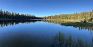 IMG_5260.jpeg