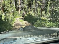 IMG_5250.jpeg
