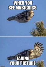 IMG_8689.jpeg